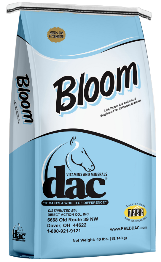 DAC Bloom