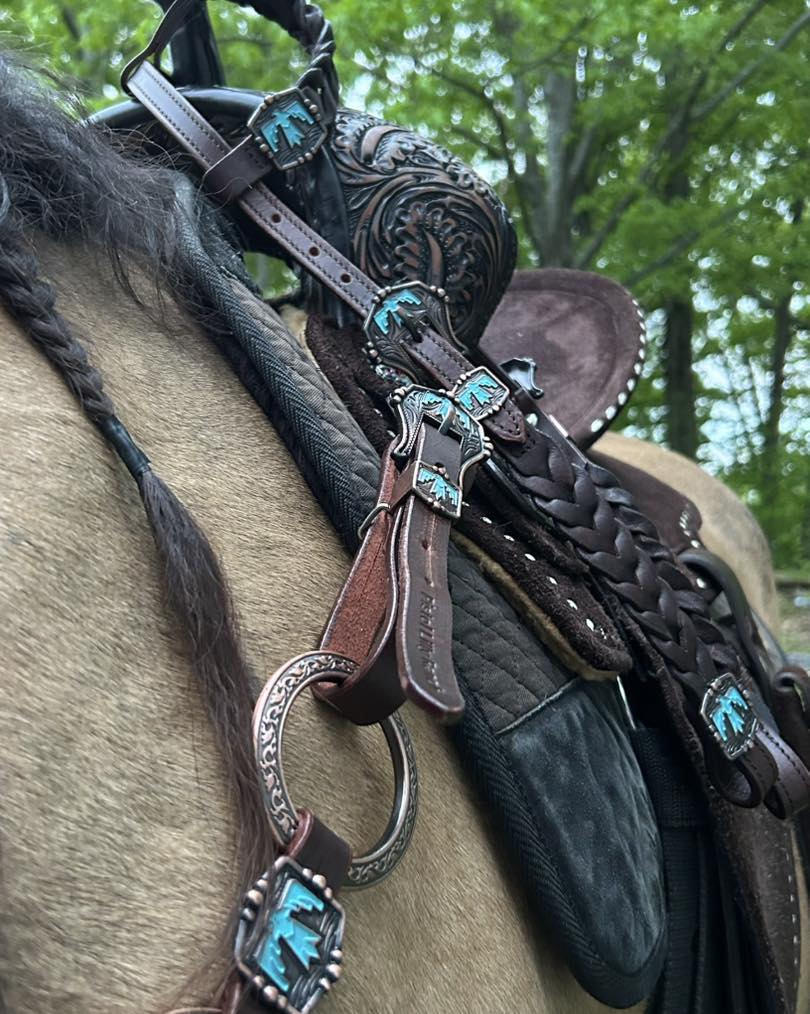 PLR Wild Thunderbird Tack Set