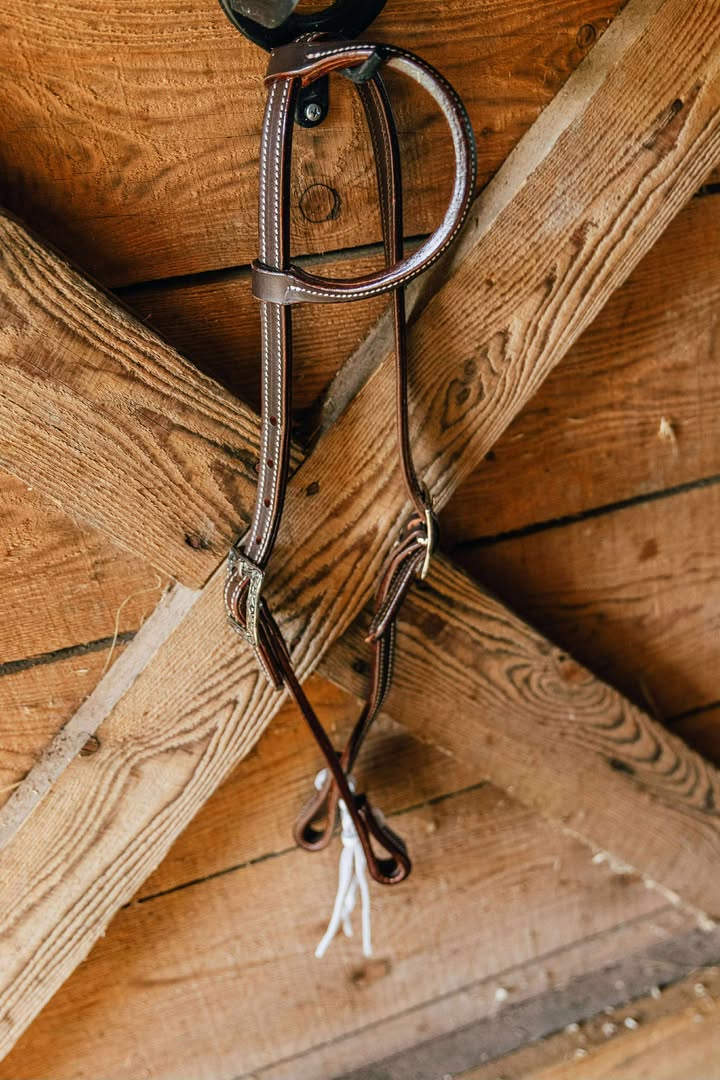 PLR One Ear Headstall Tie End Colored Stitching