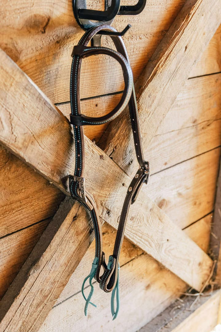 PLR One Ear Headstall Tie End Colored Stitching