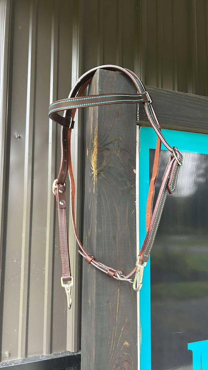 PLR Browband Headstall Quick Change Colored Stitching