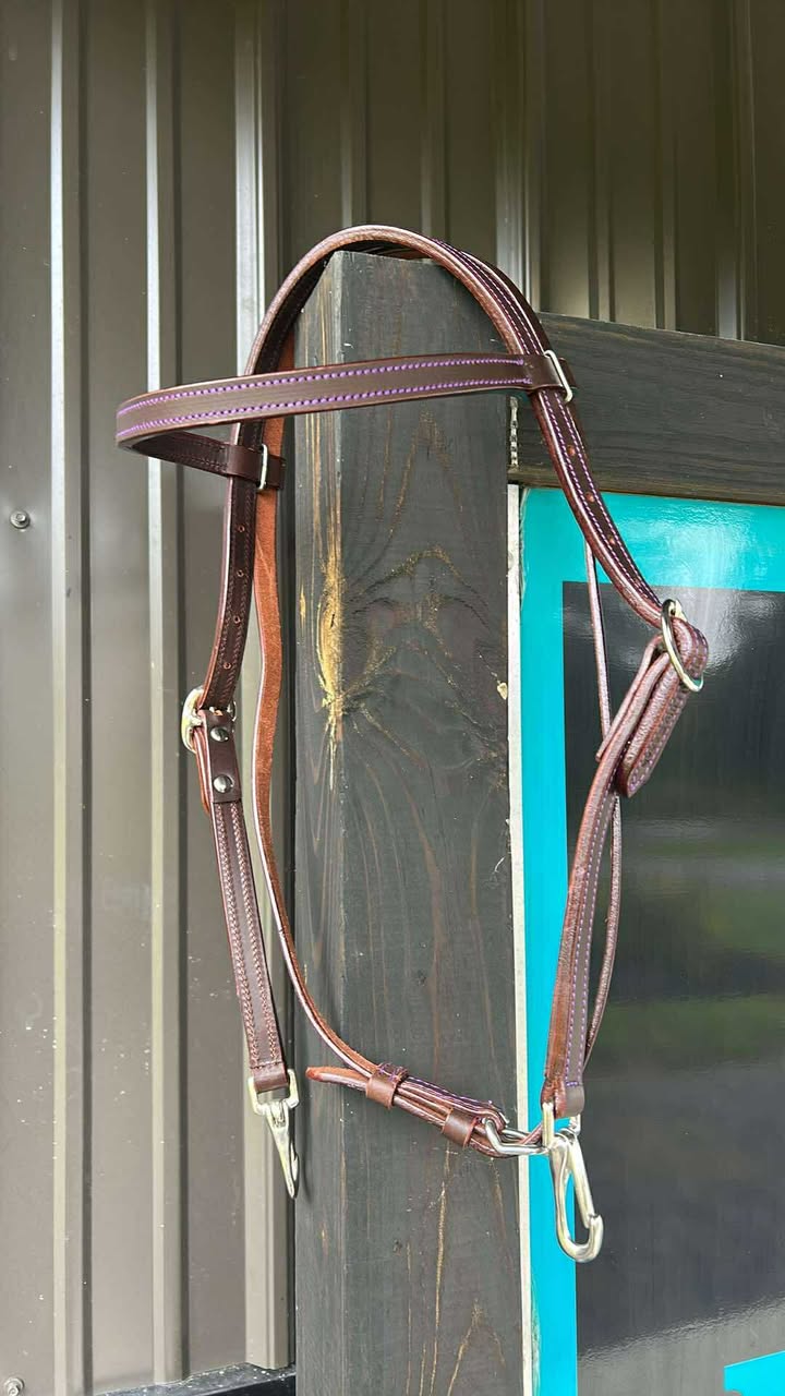 PLR Browband Headstall Quick Change Colored Stitching