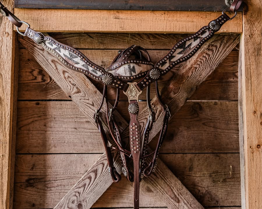 PLR High Desert Pendelton Tack set