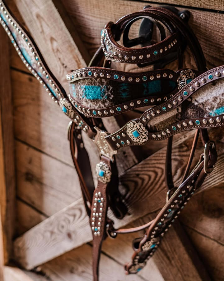 PLR Punchy Prairie Pendelton Tack Set