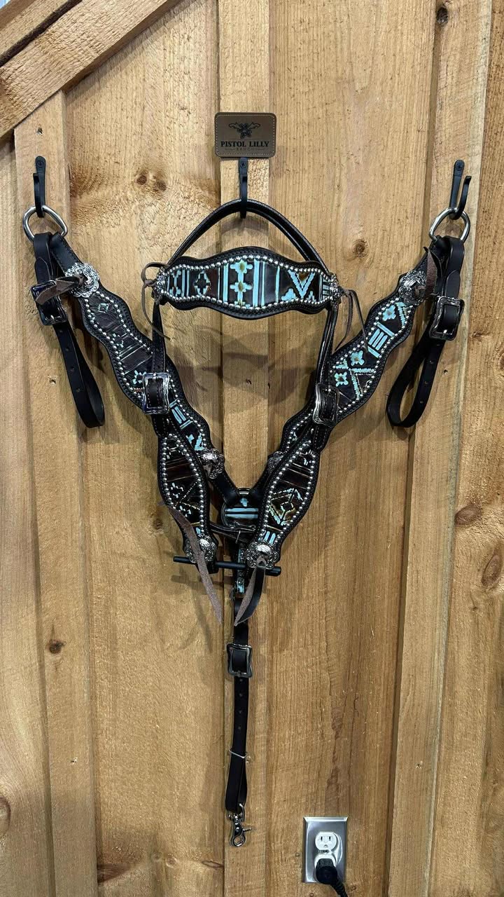 PLR Wild Aztec Tack Set