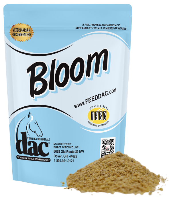 DAC Bloom