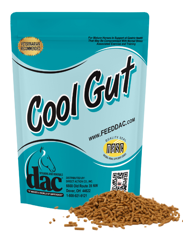 Dac Cool Gut