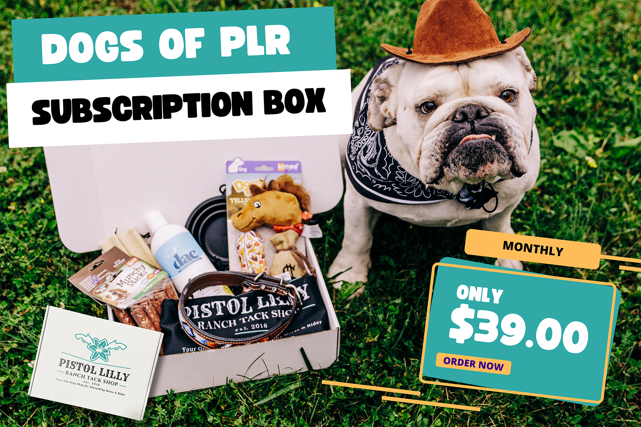 PLR Dog Box Subscription