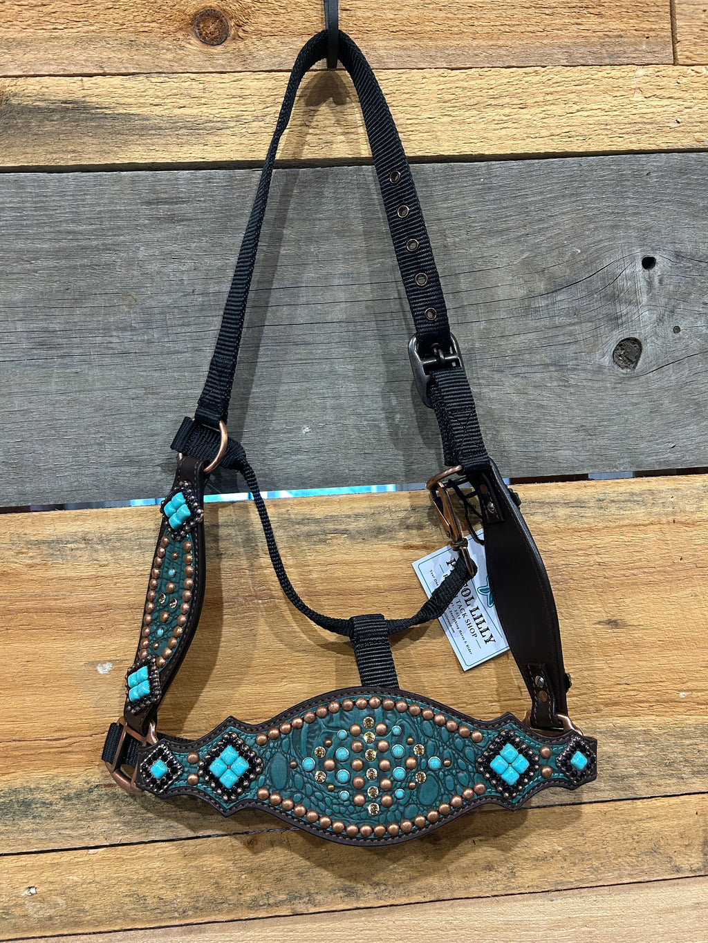 PLR Aqua Cowgirl Bronc Halter