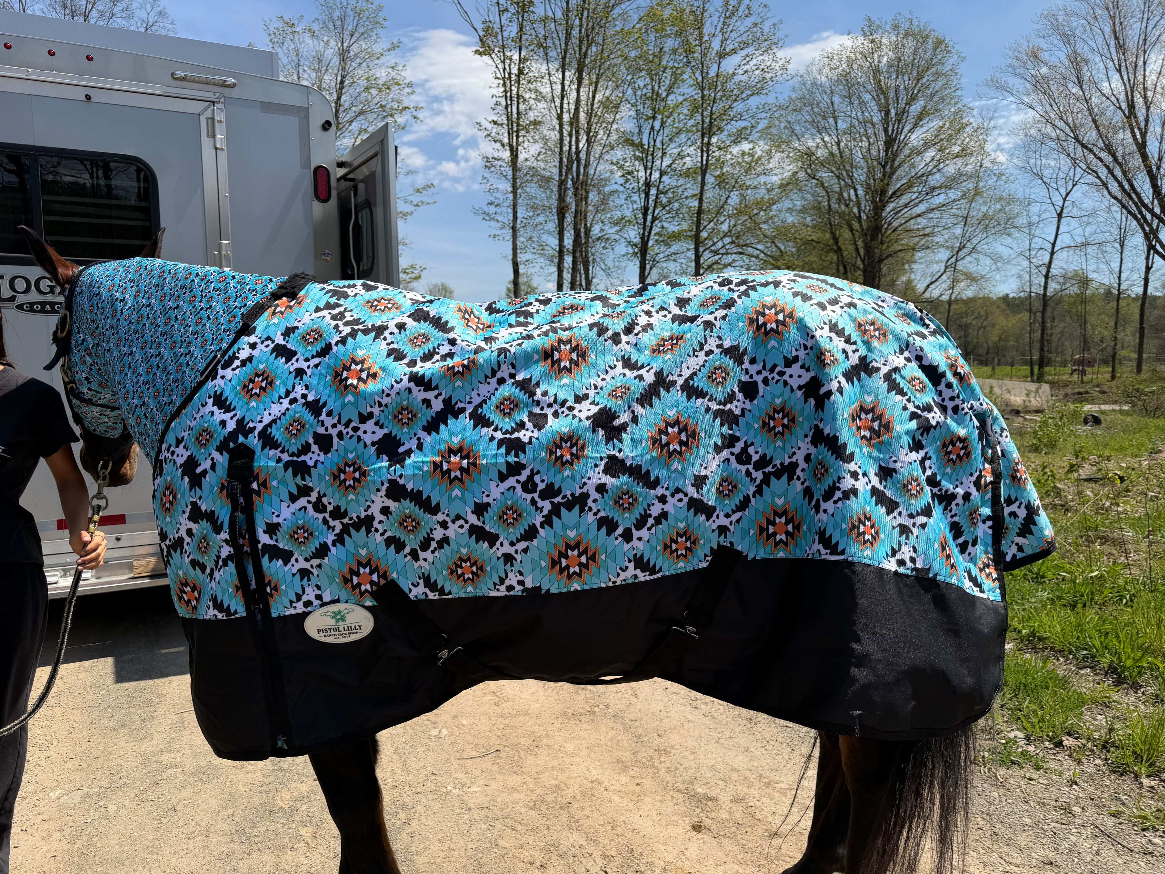 PLR Rain Sheet Cow Aztec