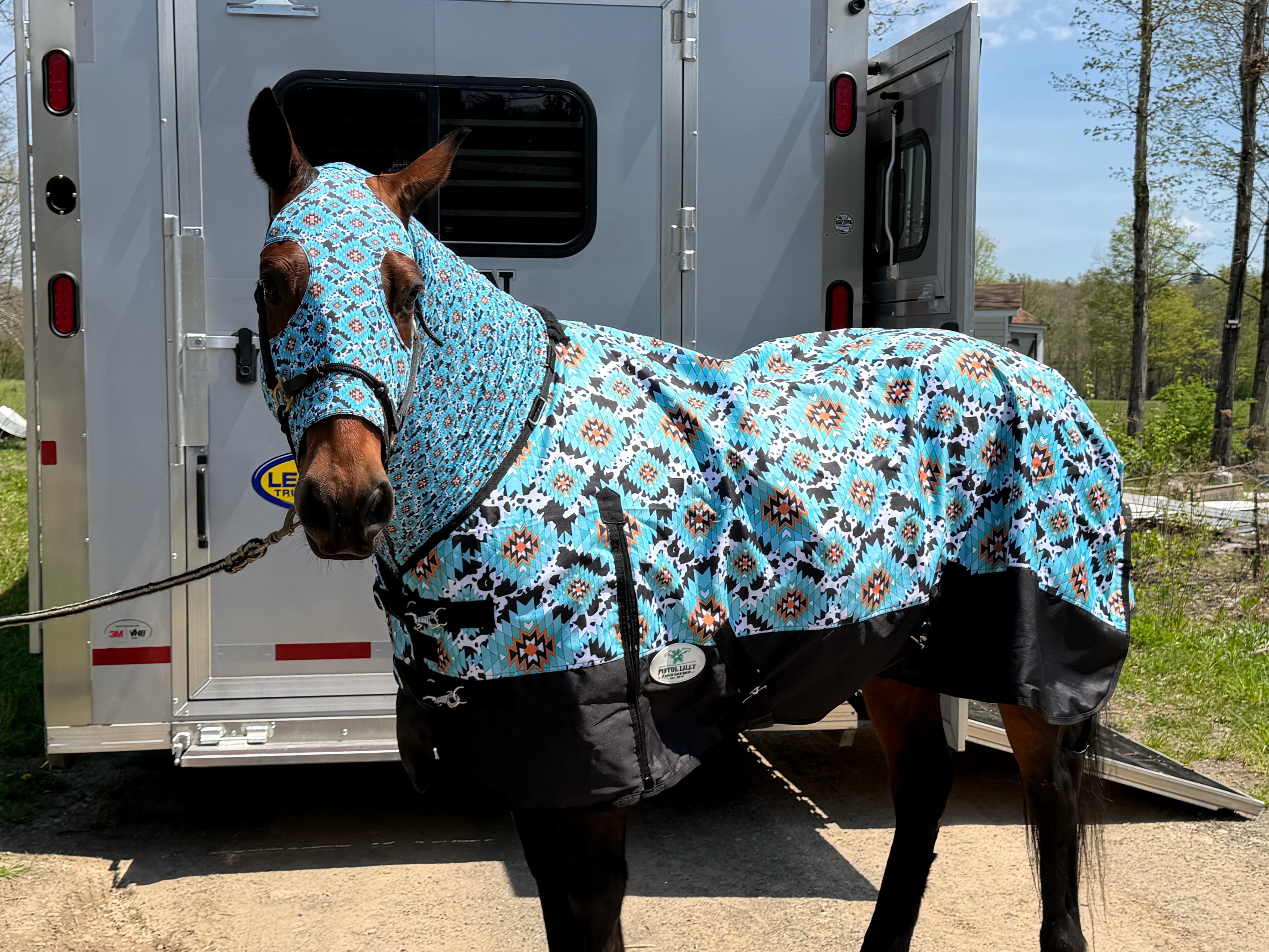 PLR Rain Sheet Cow Aztec