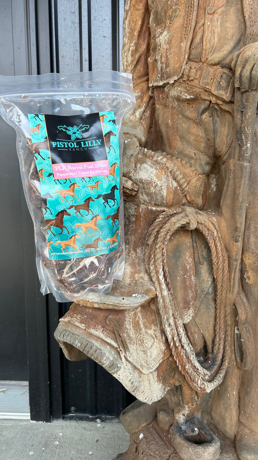PLR Horse Treats