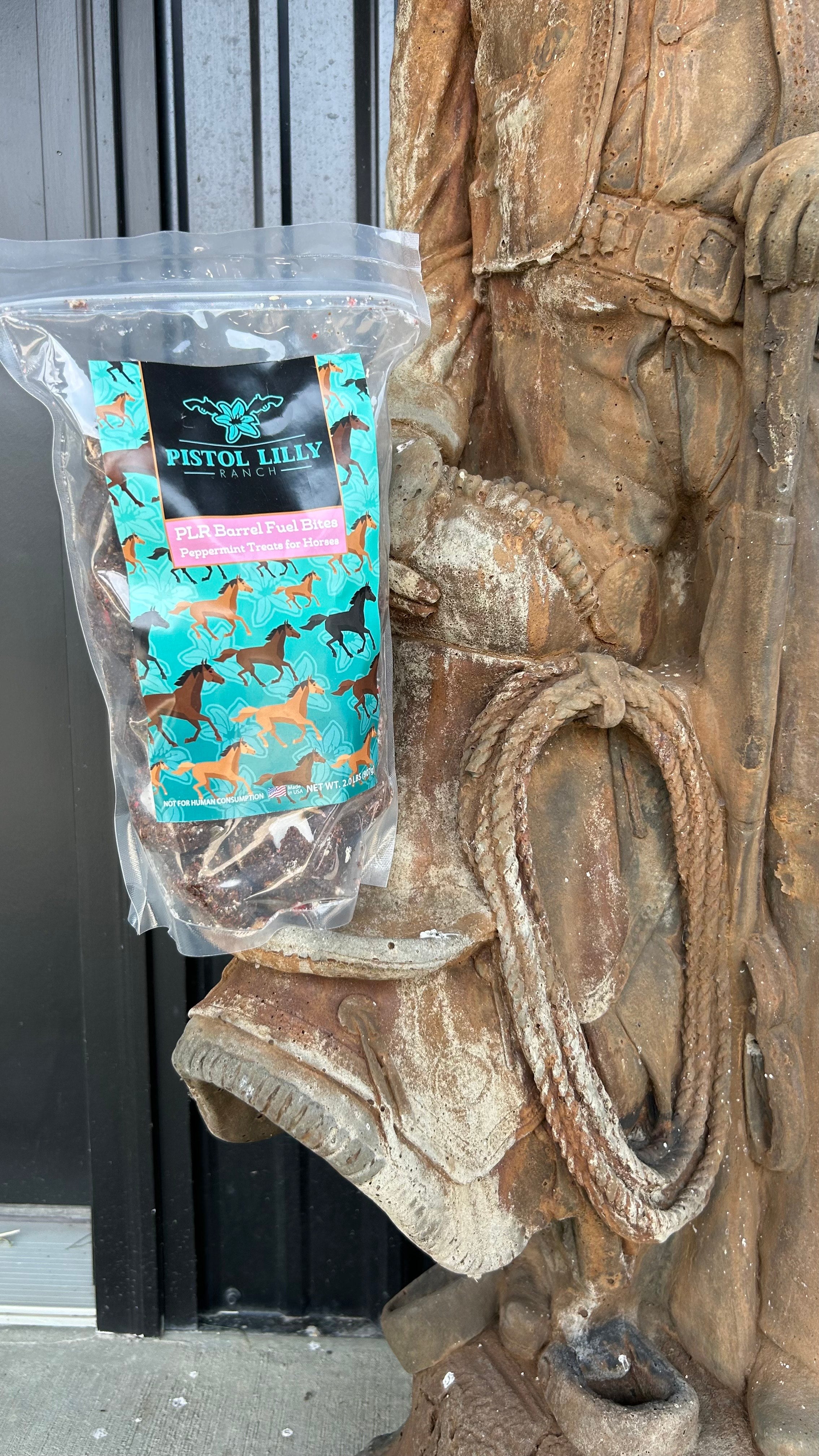PLR Horse Treats