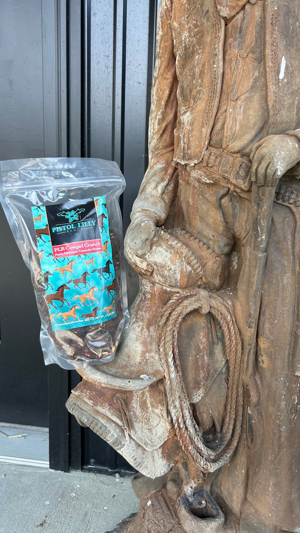 PLR Horse Treats