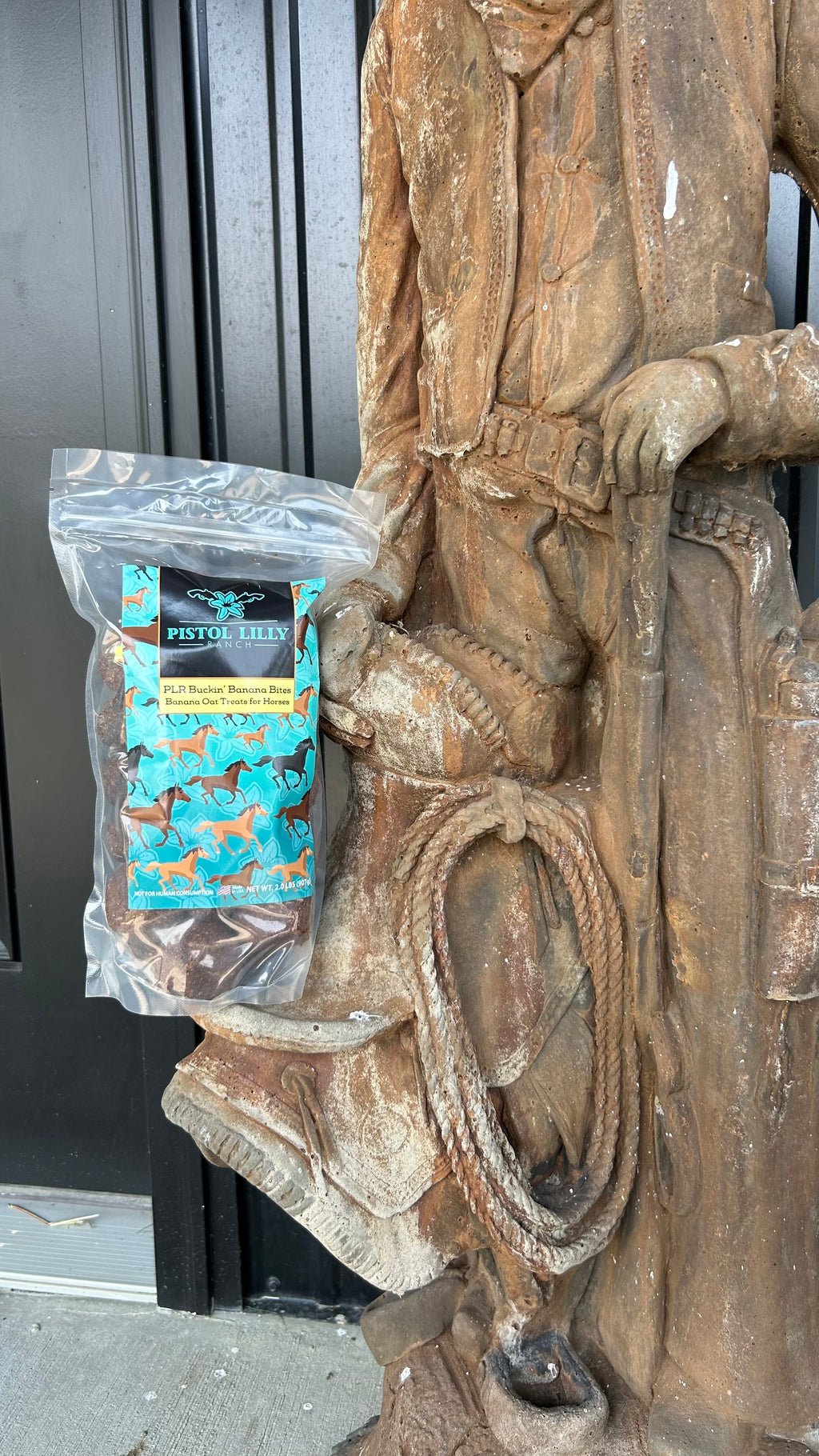 PLR Horse Treats