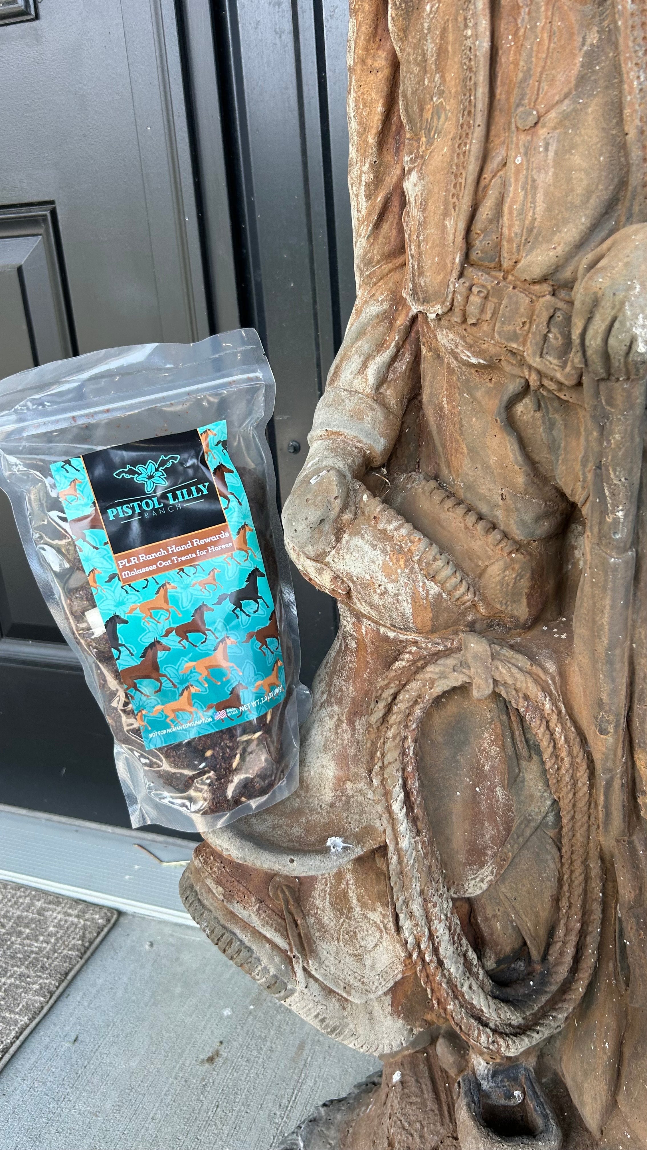 PLR Horse Treats