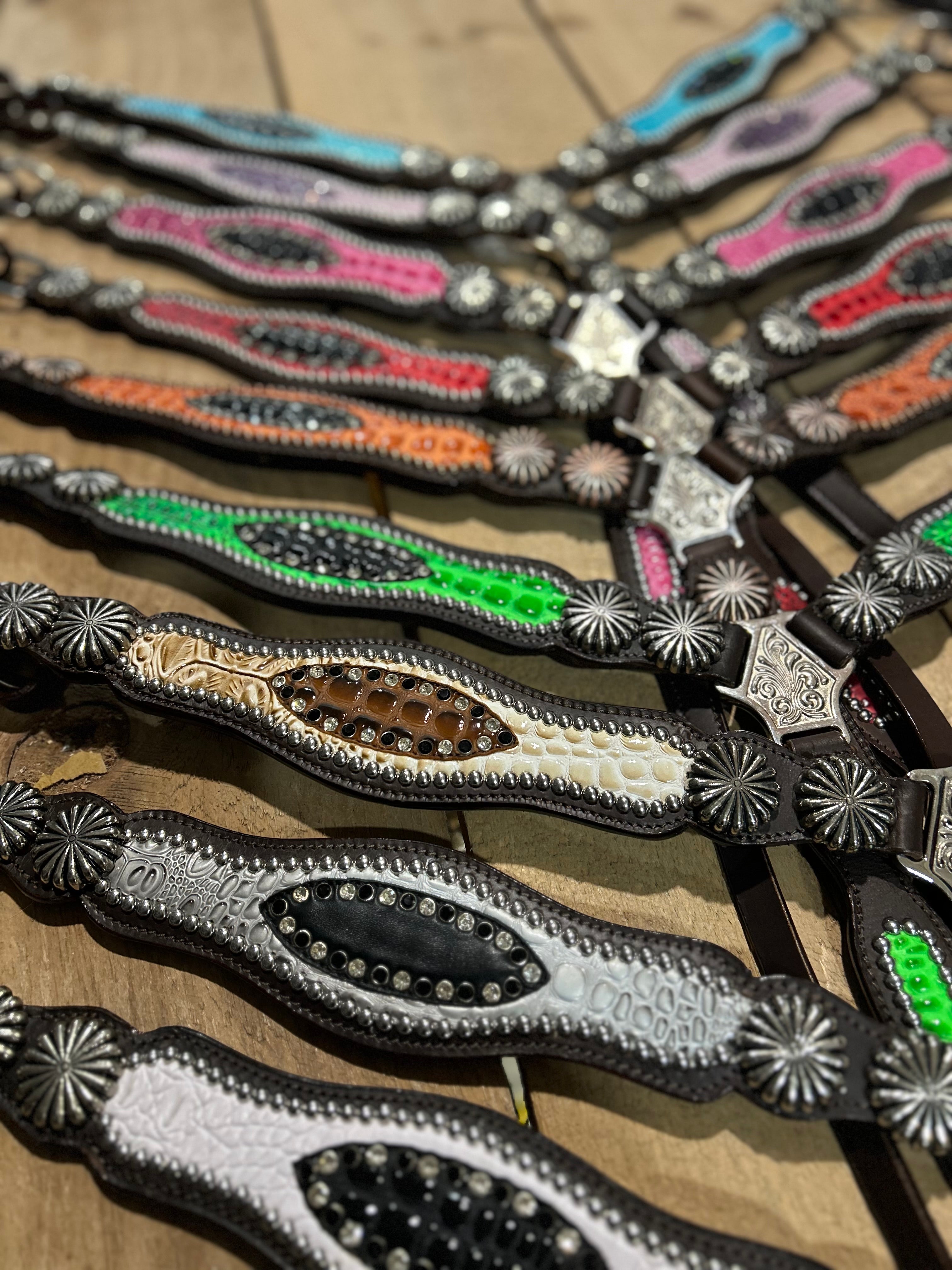 PLR Flamin Gator Tack Set