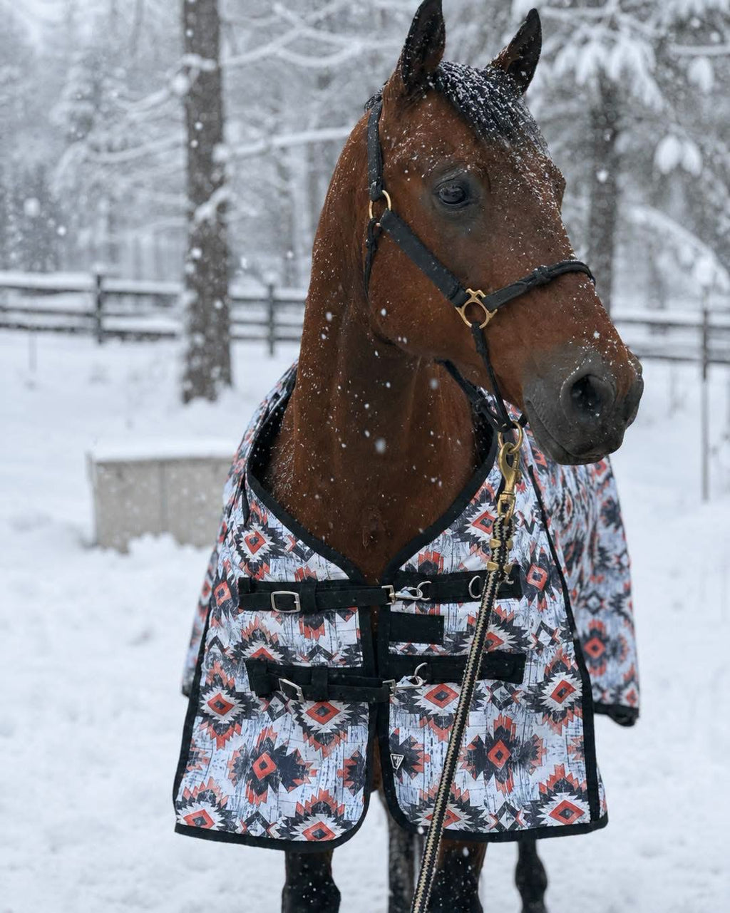 PLR Winter Blankets