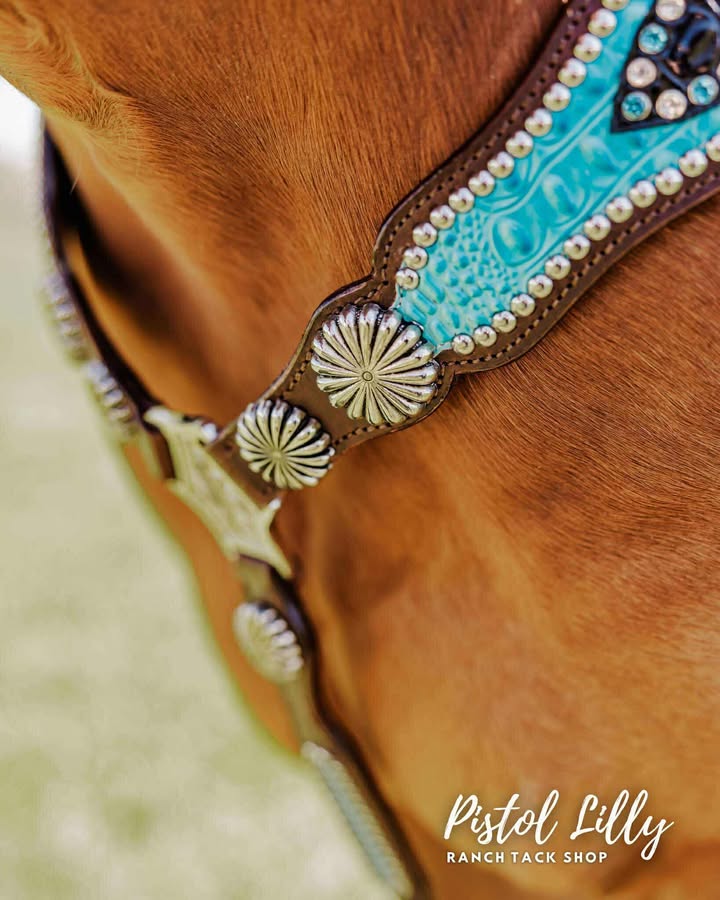 PLR Frosted Gator Tack Set