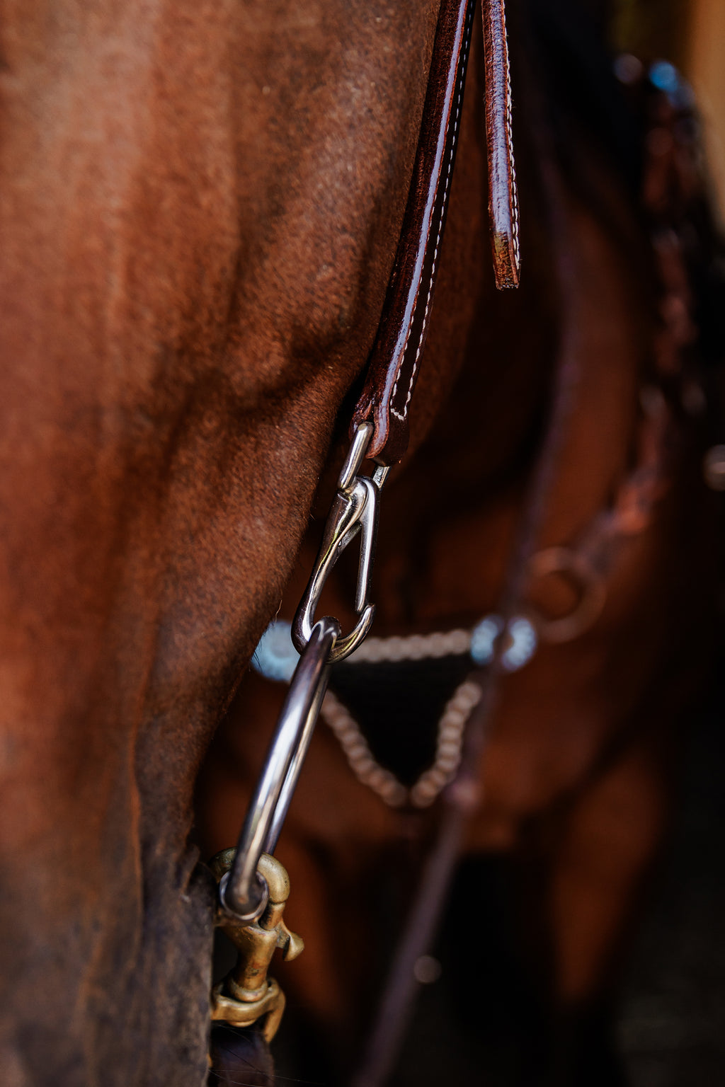 PLR One Ear Quick Change Headstall Colored Stitching