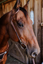 PLR One Ear Quick Change Headstall Colored Stitching