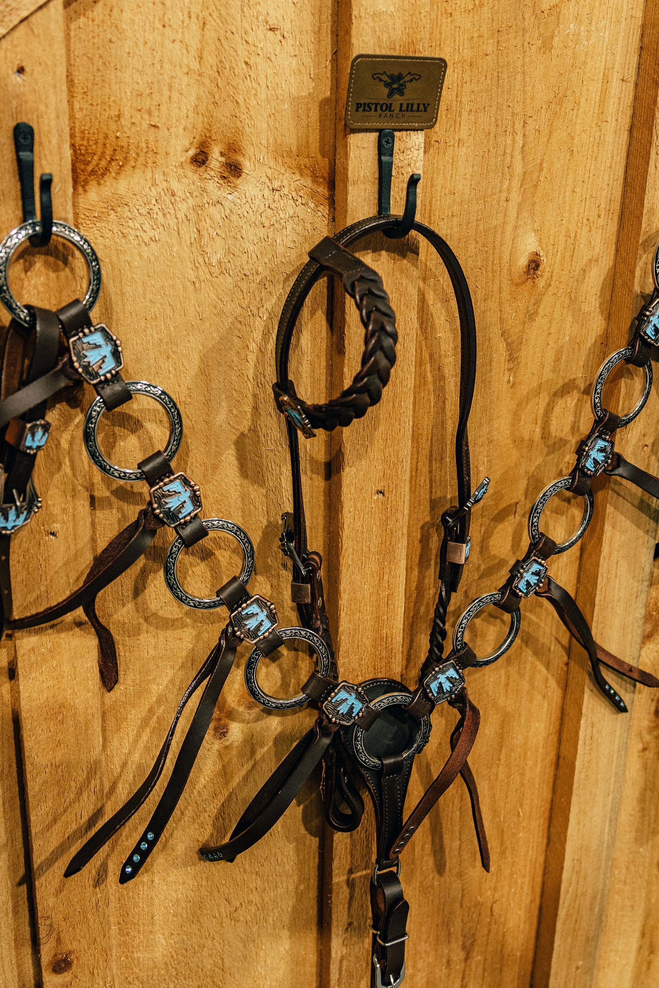 PLR Wild Thunderbird Tack Set