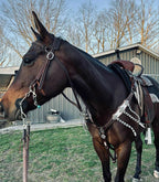 PLR White Lightning Tack Set