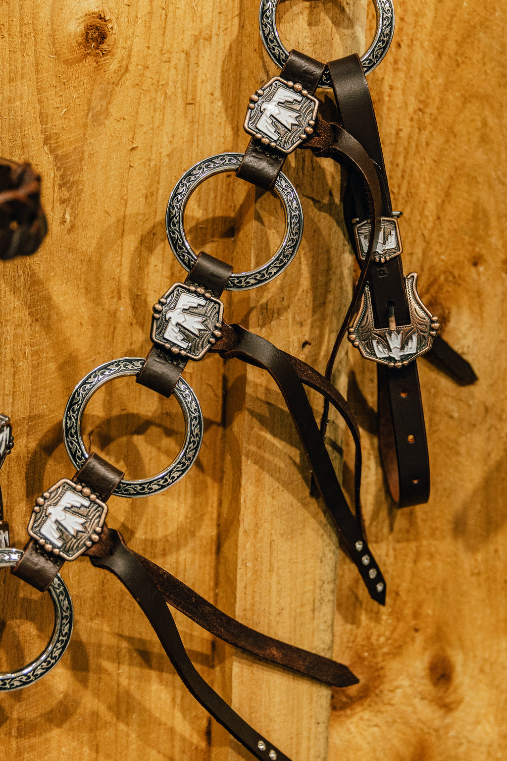 PLR Frosty Thunderbird Tack Set