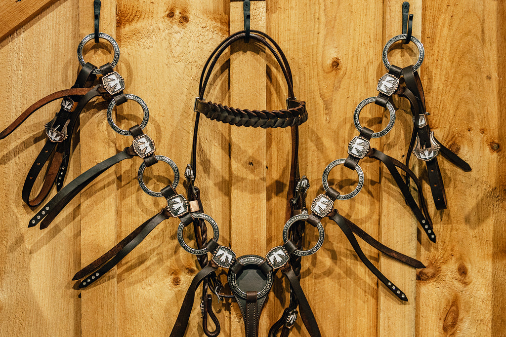 PLR Frosty Thunderbird Tack Set