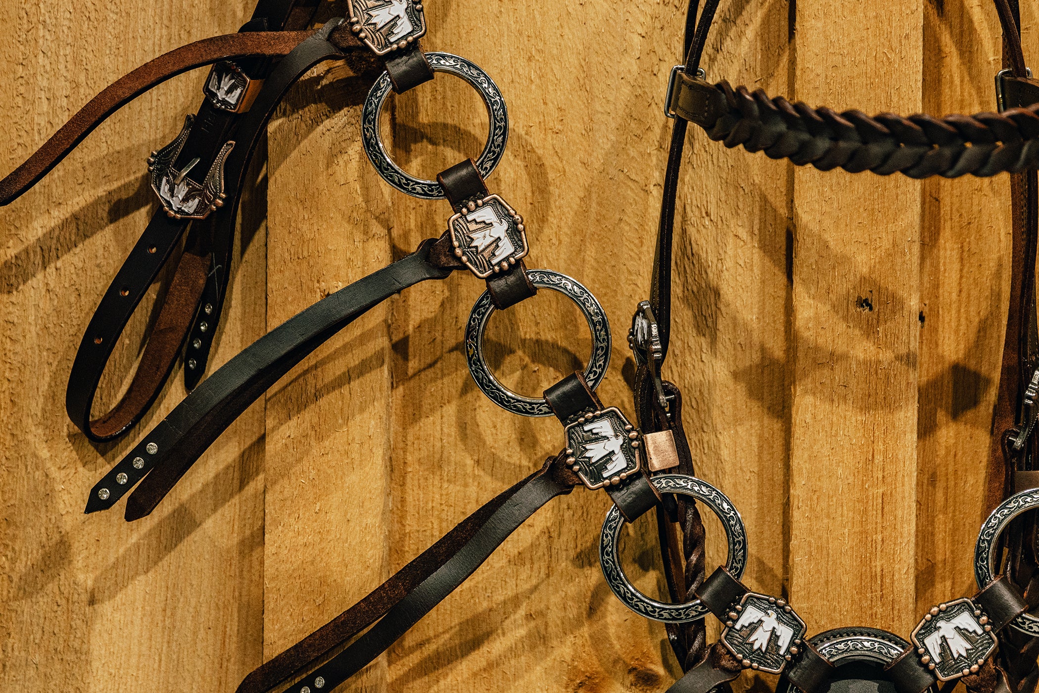 PLR Frosty Thunderbird Tack Set