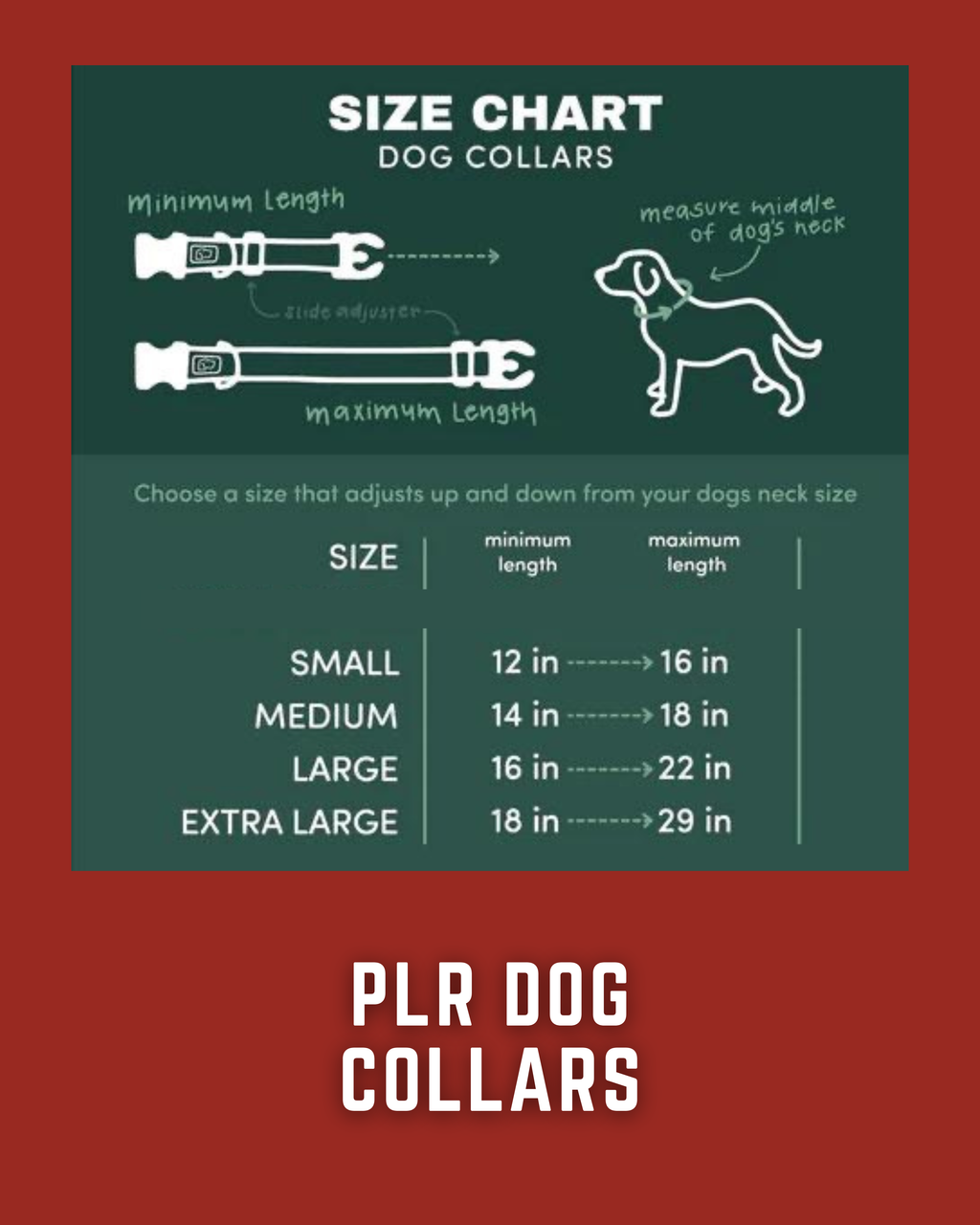 PLR Dog Collar And Leash Set