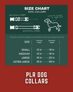 PLR Dog Collar And Leash Set