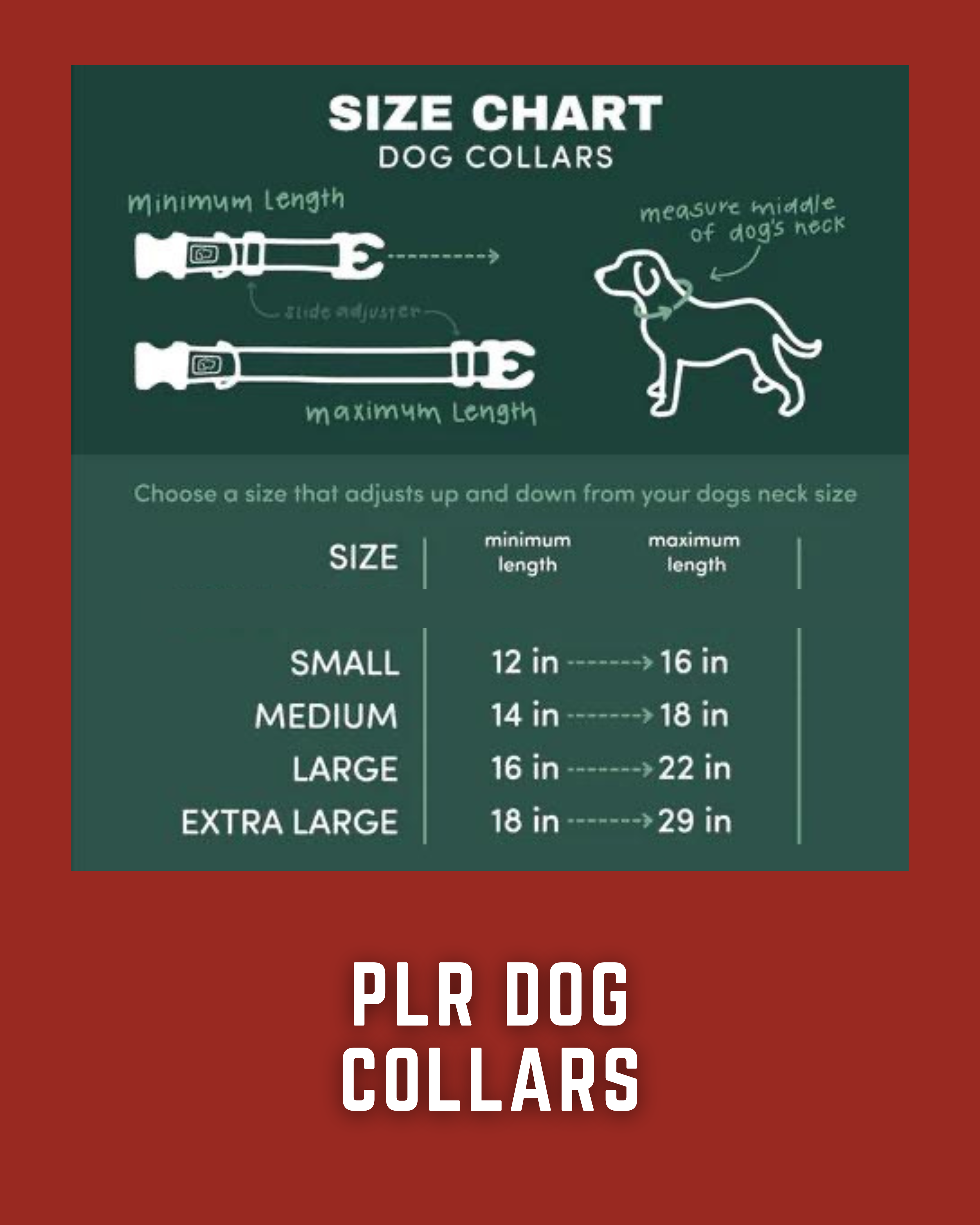 PLR Dog Collar And Leash Set