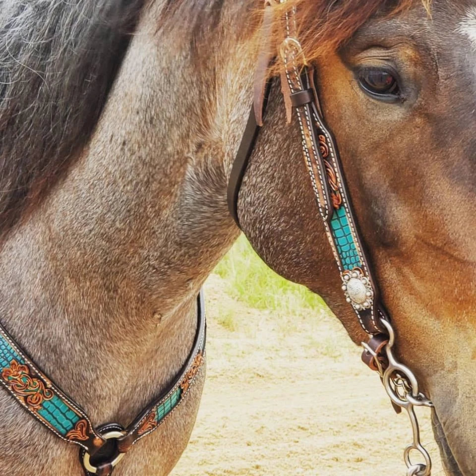 Circle Y Filigree Turquoise Gator Headstall