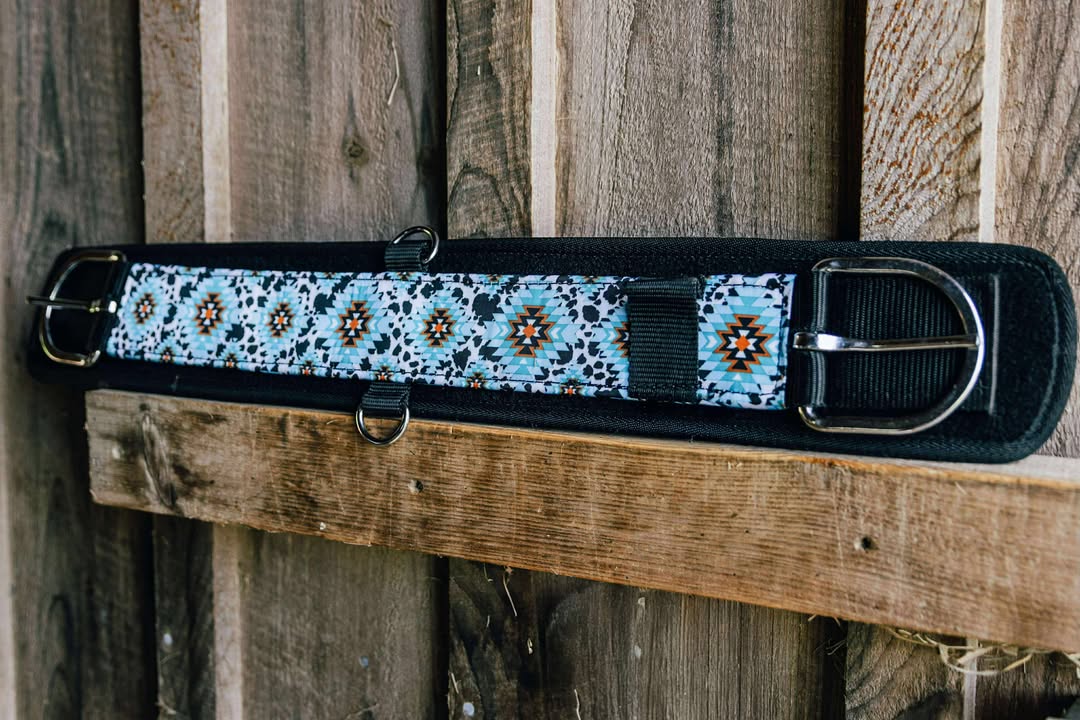 PLR Cinch Cow Aztec