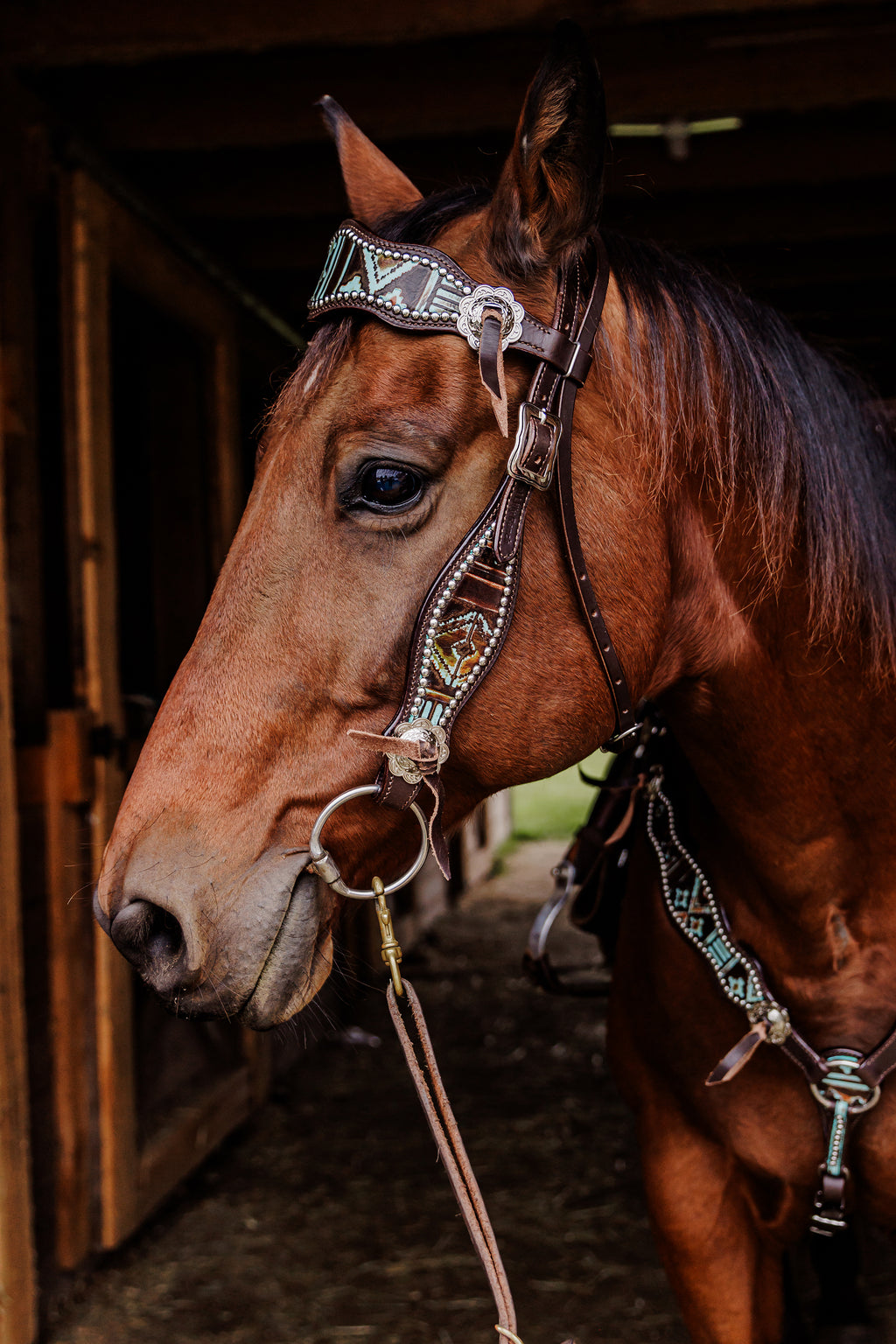 PLR Wild Aztec Tack Set