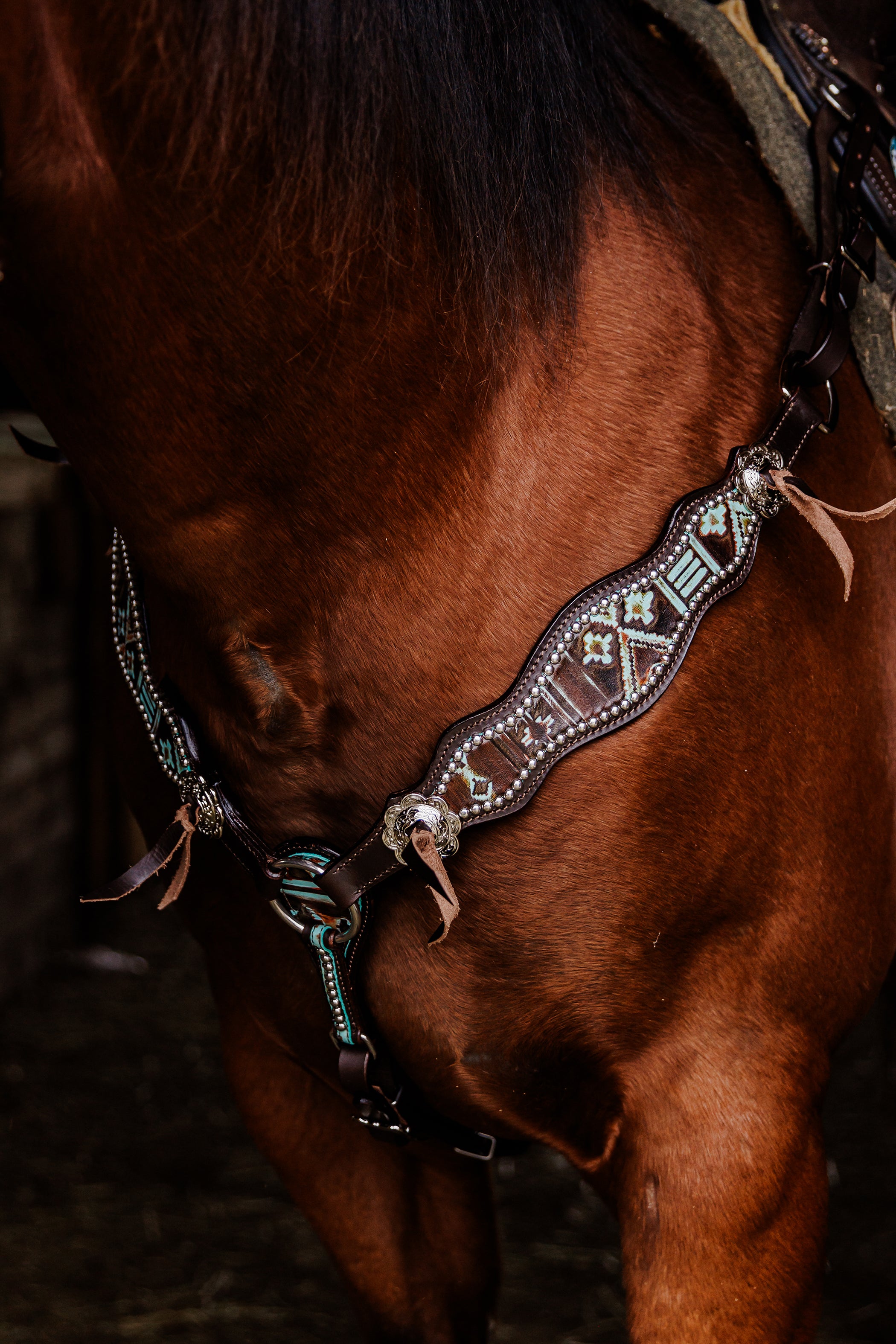 PLR Wild Aztec Tack Set