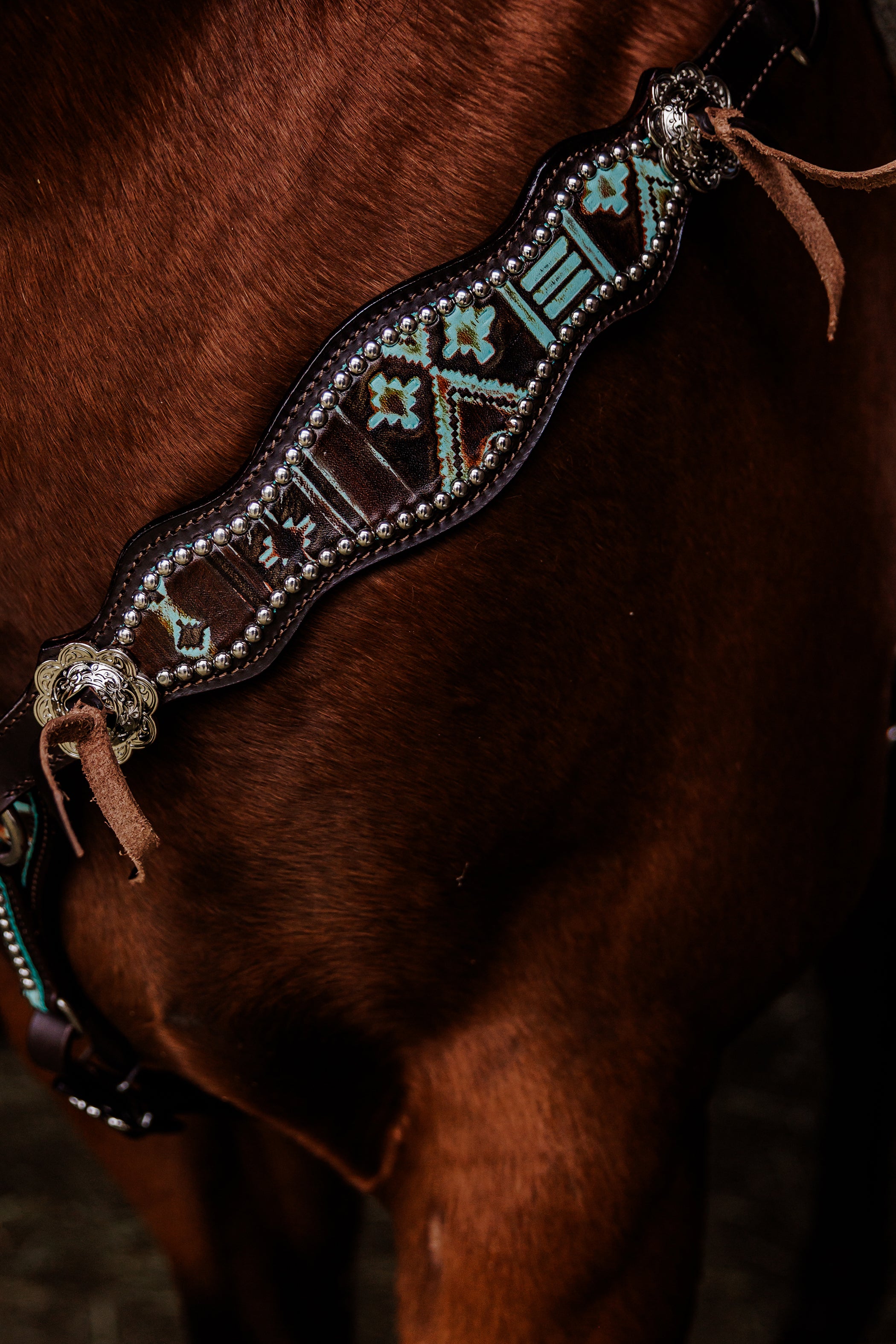 PLR Wild Aztec Tack Set