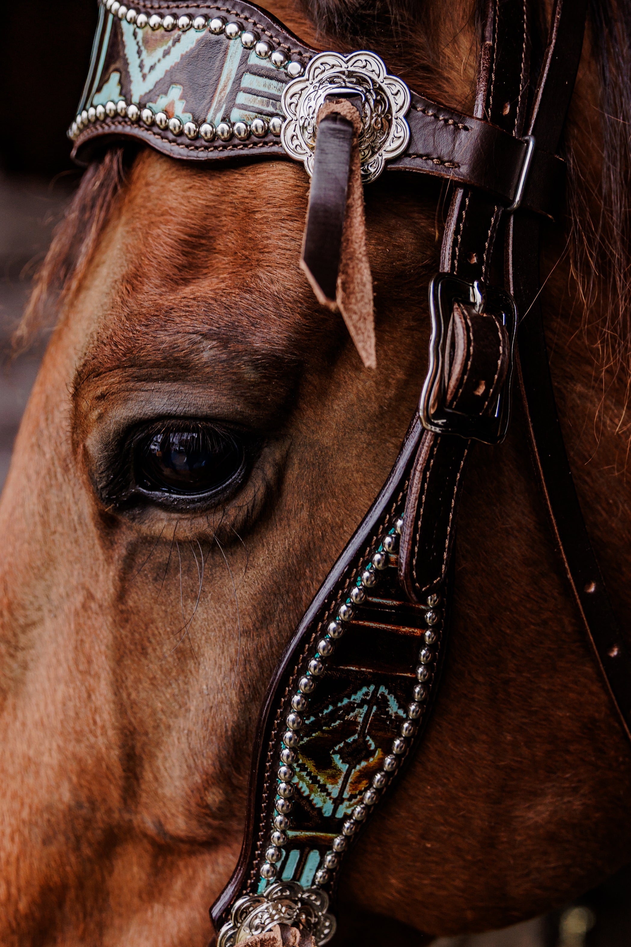 PLR Wild Aztec Tack Set