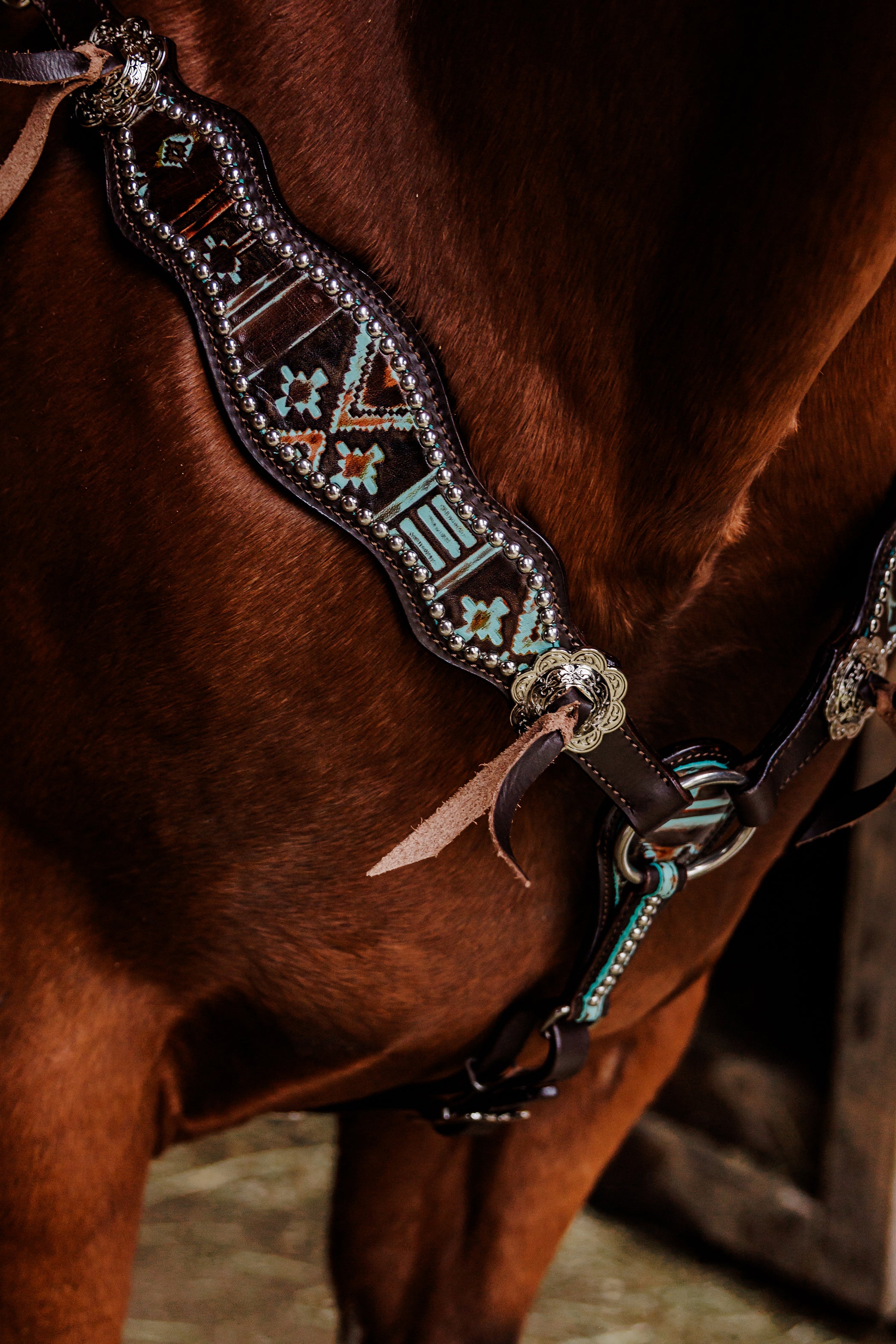 PLR Wild Aztec Tack Set