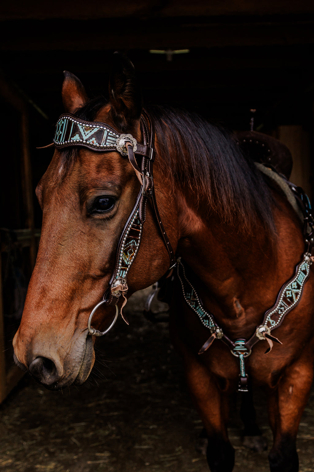 PLR Crimson Outlaw Tack Set