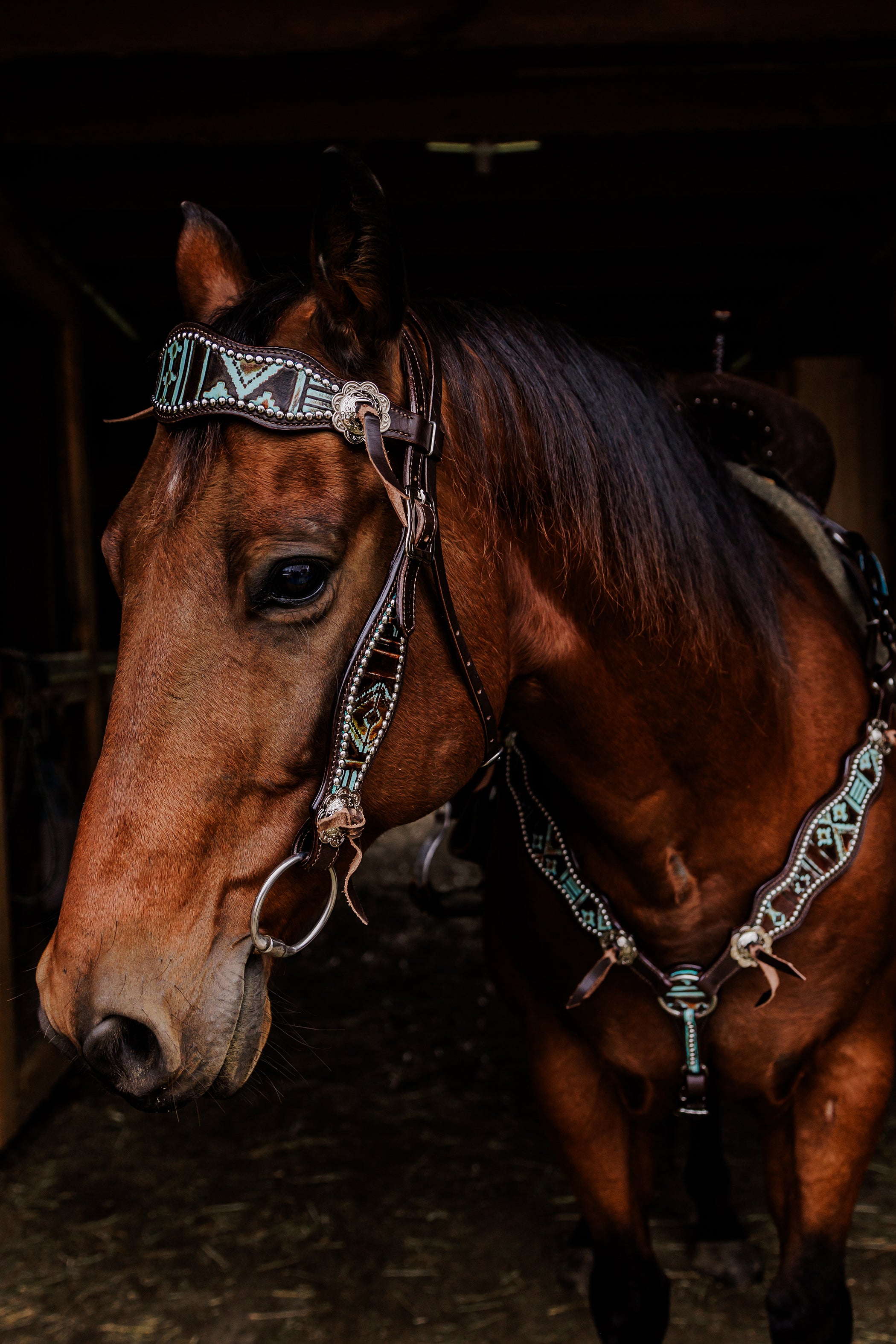 PLR Crimson Outlaw Tack Set