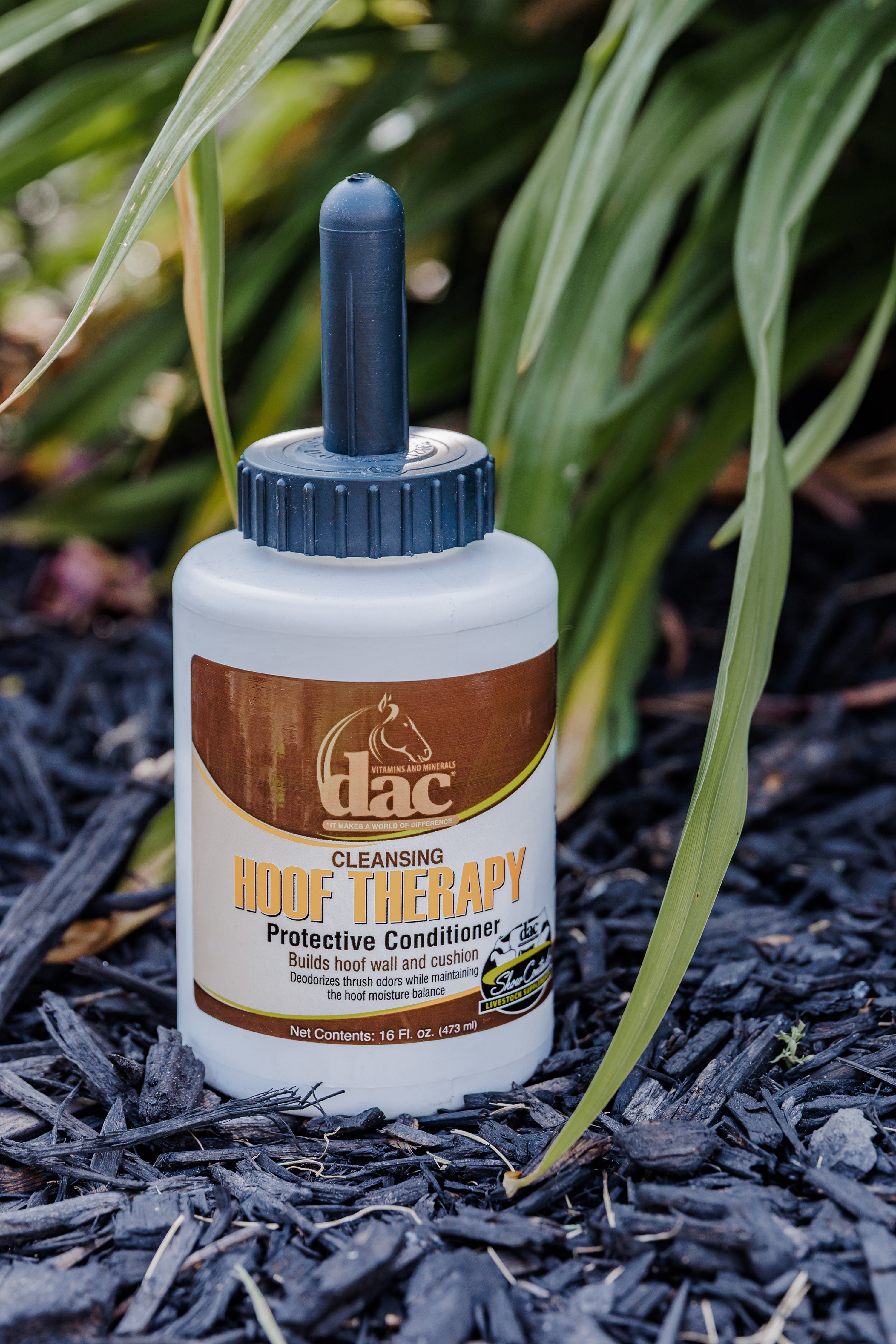 DAC Hoof oil therapy