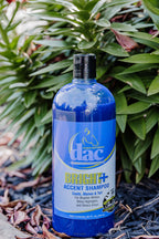 DAC Bright Accent Shampoo