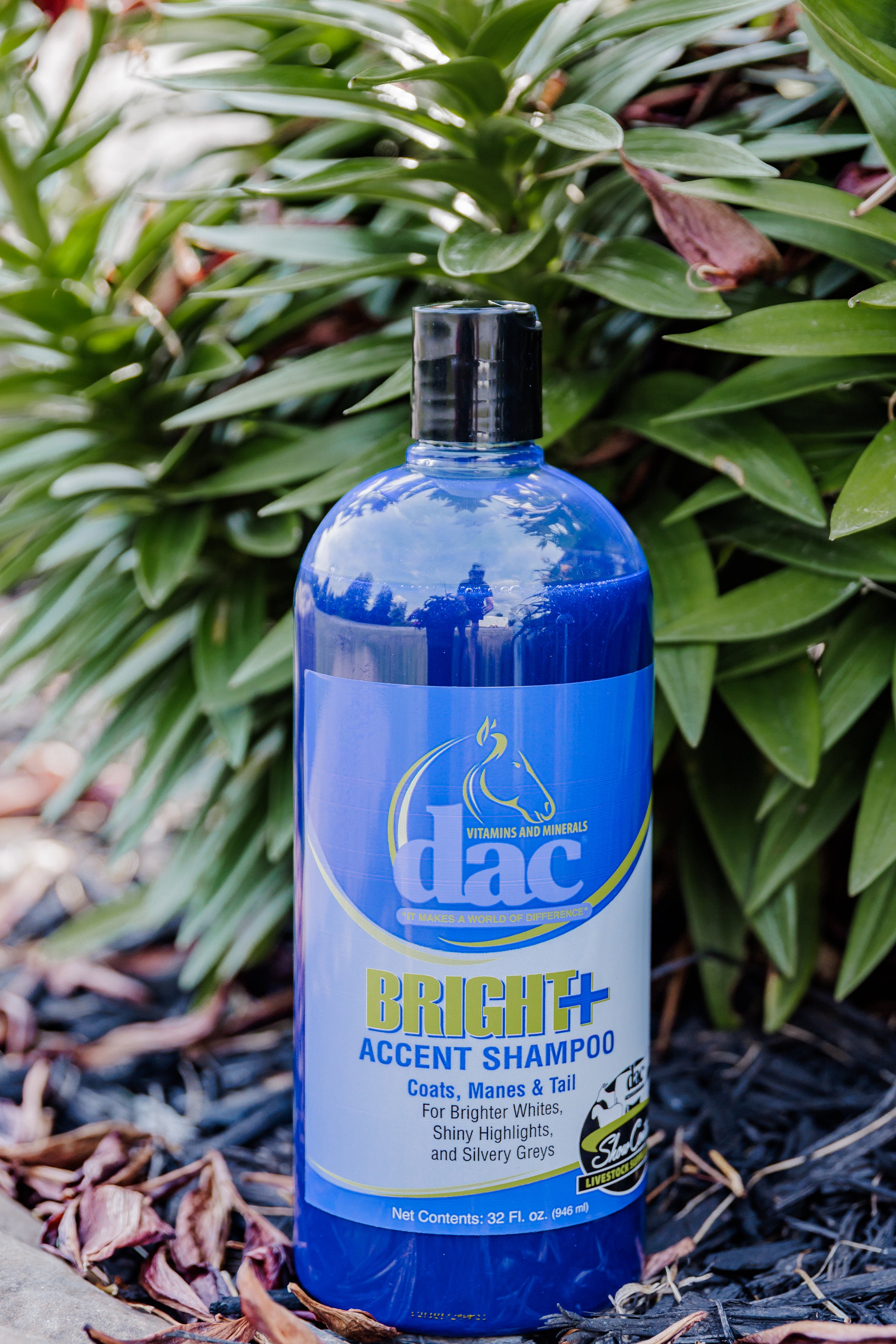 DAC Bright Accent Shampoo