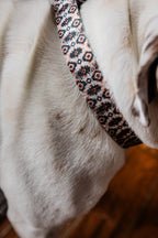 PLR Dog Collar And Leash Set
