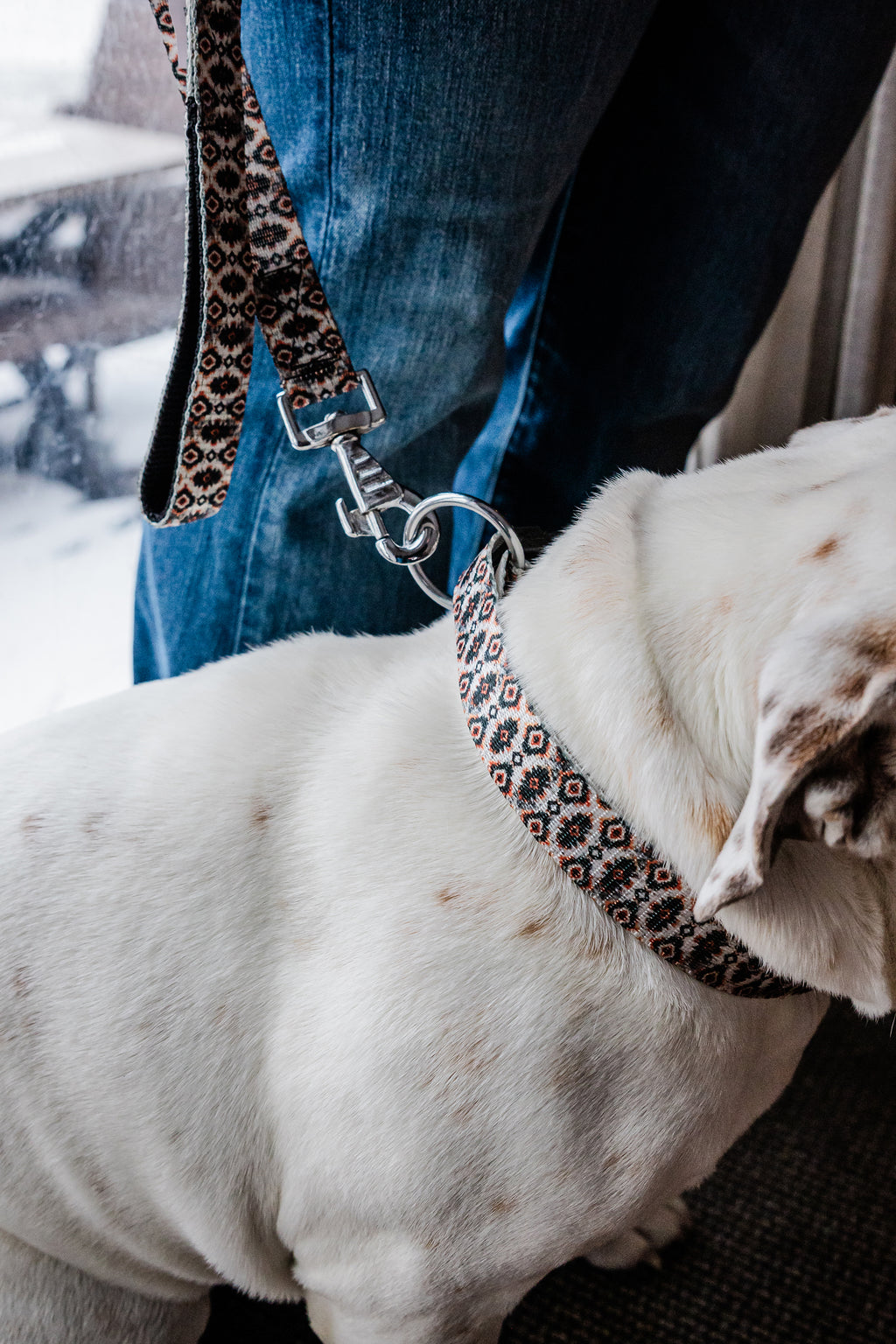 PLR Dog Collar And Leash Set