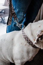 PLR Dog Collar And Leash Set