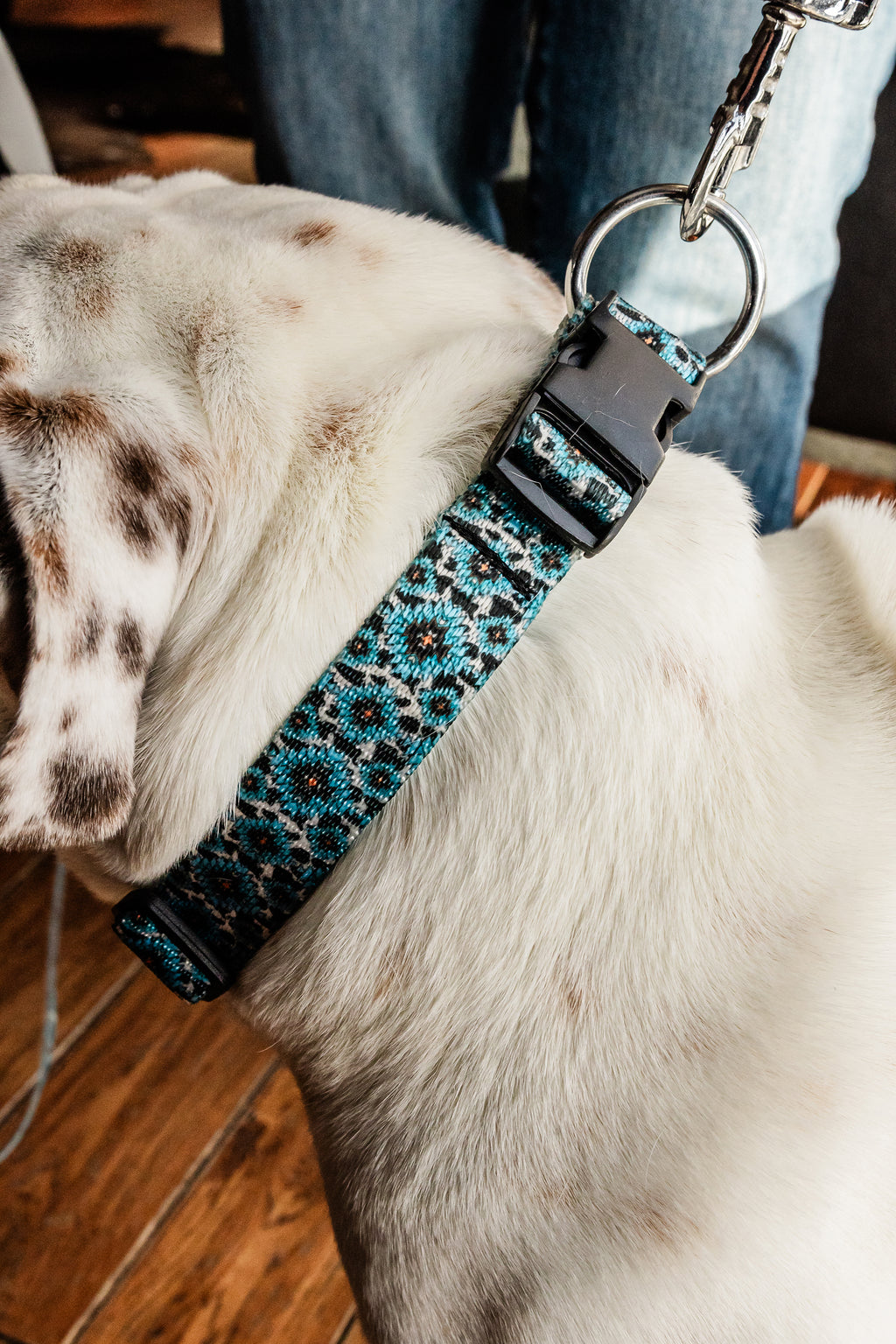 PLR Dog Collar And Leash Set