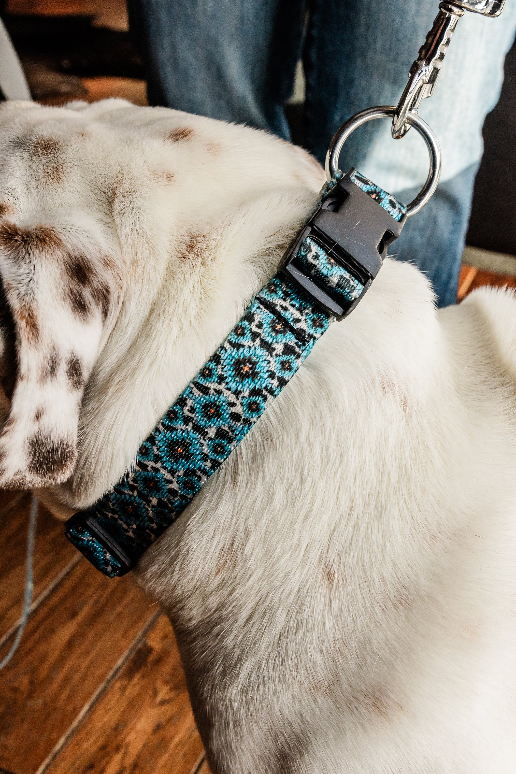 PLR Dog Collar And Leash Set